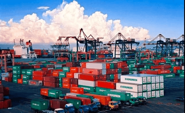 Customs Declaration for Imports